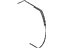 Toyota 35146-36010 Gasket, Governor Body