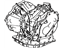 Toyota 30500-20750 Transaxle Assy, Automatic